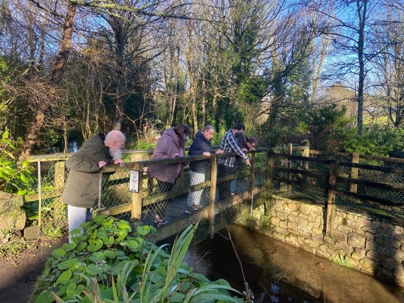 swallowcourt Residents